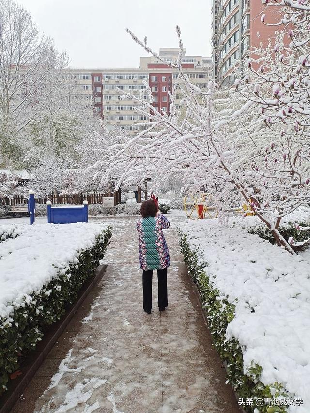 春天真美写一小段话，春天真美呀写句子（一场雪，让这里的春天真美）