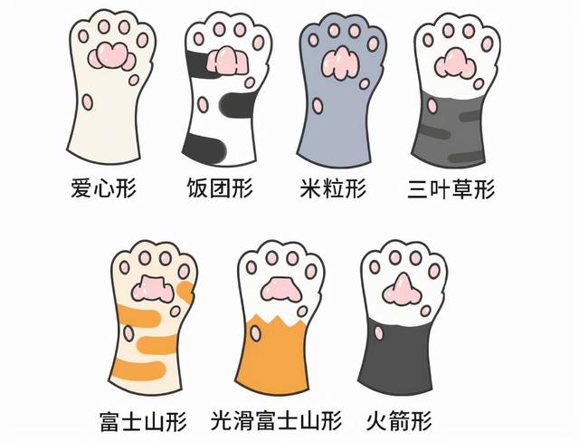 如何从猫咪的肉垫看出性格，猫咪的肉垫形状