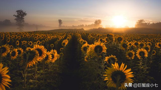 巨蟹座的七个特征，巨蟹座的一些特征（巨蟹座的三个可怕之处）