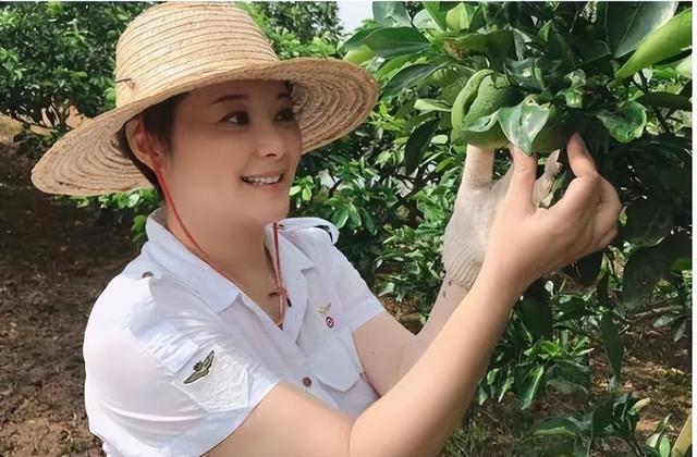 移民后最后悔的明星，这十位老牌明星