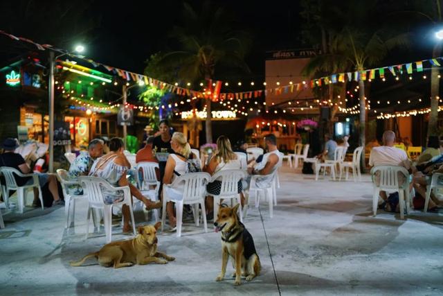 苏梅岛旅游攻略线路，苏梅岛旅游报价（我在这个小岛提早过起夏天了）