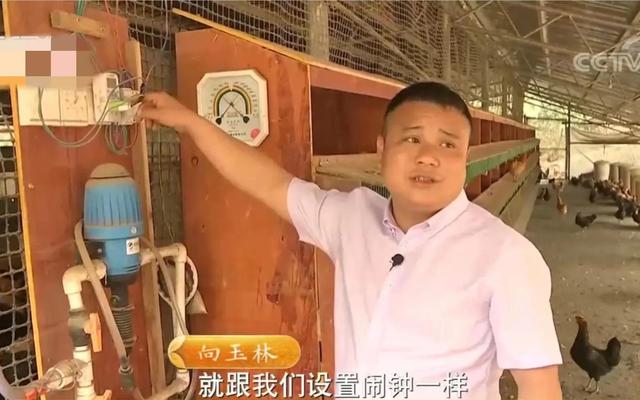 梦见好多鸡蛋捡鸡蛋是什么意思，梦见捡好多鸡蛋什么意思（湖南男子承包1200亩荒山）