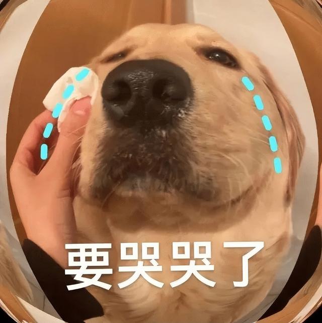 世界上有没有美人鱼，世界上有美人鱼吗（原来美人鱼是真实存在的）