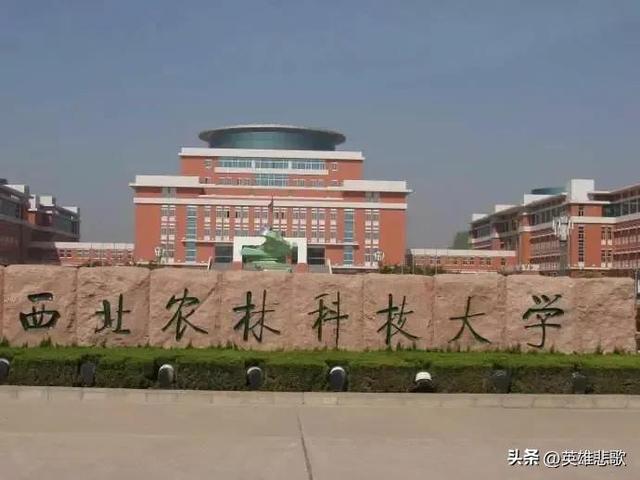 西北农林科技大学是211大学吗，西北农林科技大学和211（是不是985高校中凑数的）