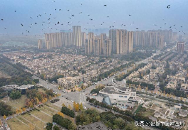 成都：蒸蒸日上的温江金马中铁城