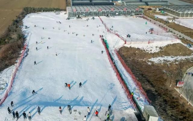 山东滑雪场排名，山东有什么滑雪的地方吗