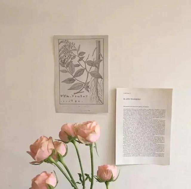 单身文案，单身文案伤感（适合单身的朋友圈文案）