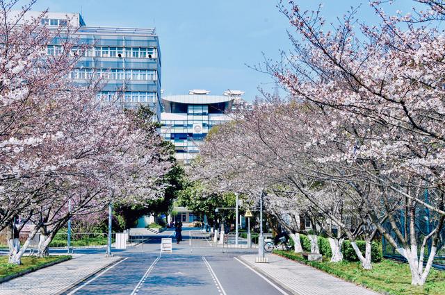 上海艺术类大学有哪些学校，上海有哪些艺术类大学-上海艺术类大学名单（上海地区17所公办院校招生艺术类本科专业）