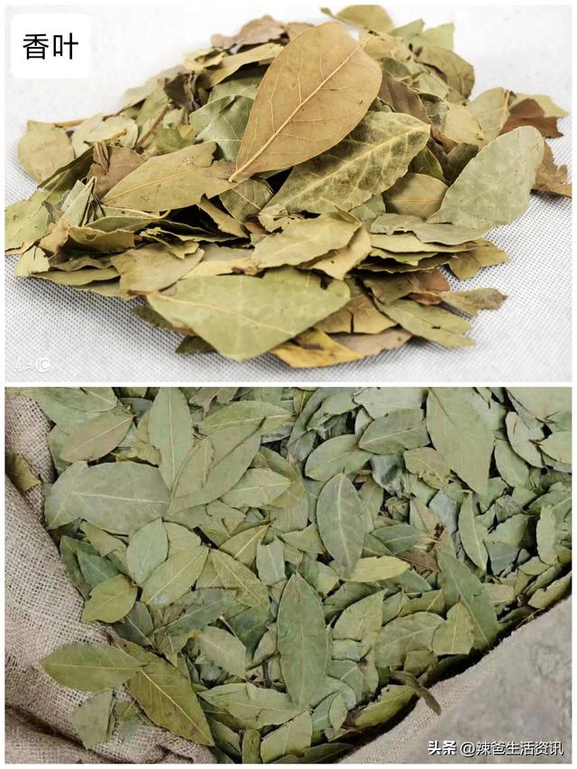 香料大全所有的香料名字，香料有多少种（厨房必备的8种香料）