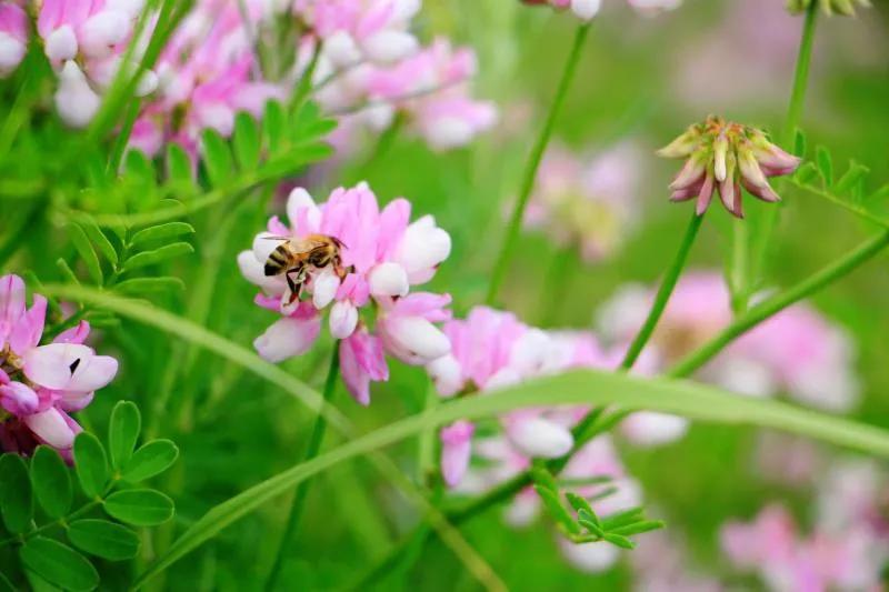 保护眼睛的桌面壁纸，经常对着电脑眼睛疼怎么办（保护眼睛从我做起…）