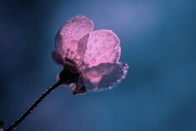 怀念过去的句子，怀念过去的经典句子（有一种惦记，叫一生怀念）