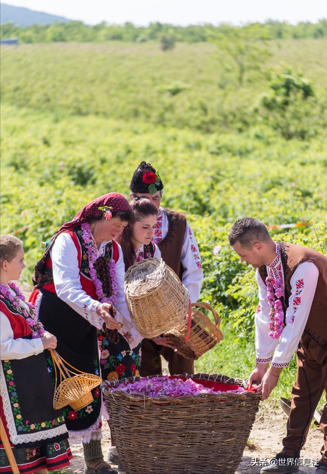 保加利亚是什么之国，保加利亚是什么之国号称（曾经的社会主义国家有多落寞）