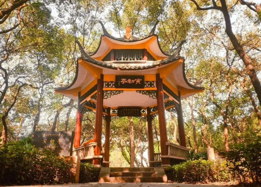 重庆二本大学有哪些（重庆本地一本）