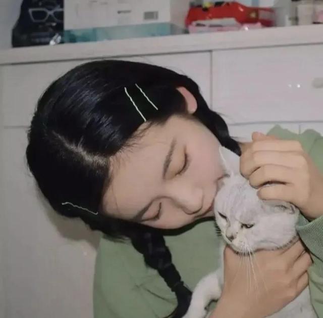 绿头像集合了微信，绿头像集合了（头像，绿色系头像）