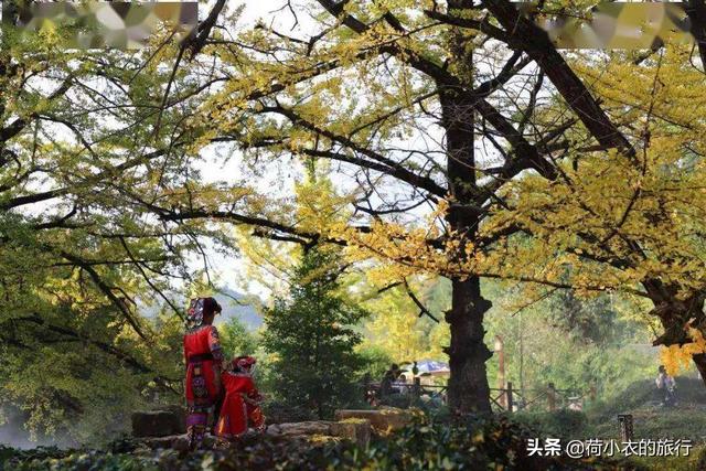 六盘水气候特征，六盘水的气候特点是什么（旅居人均只需1500/月）