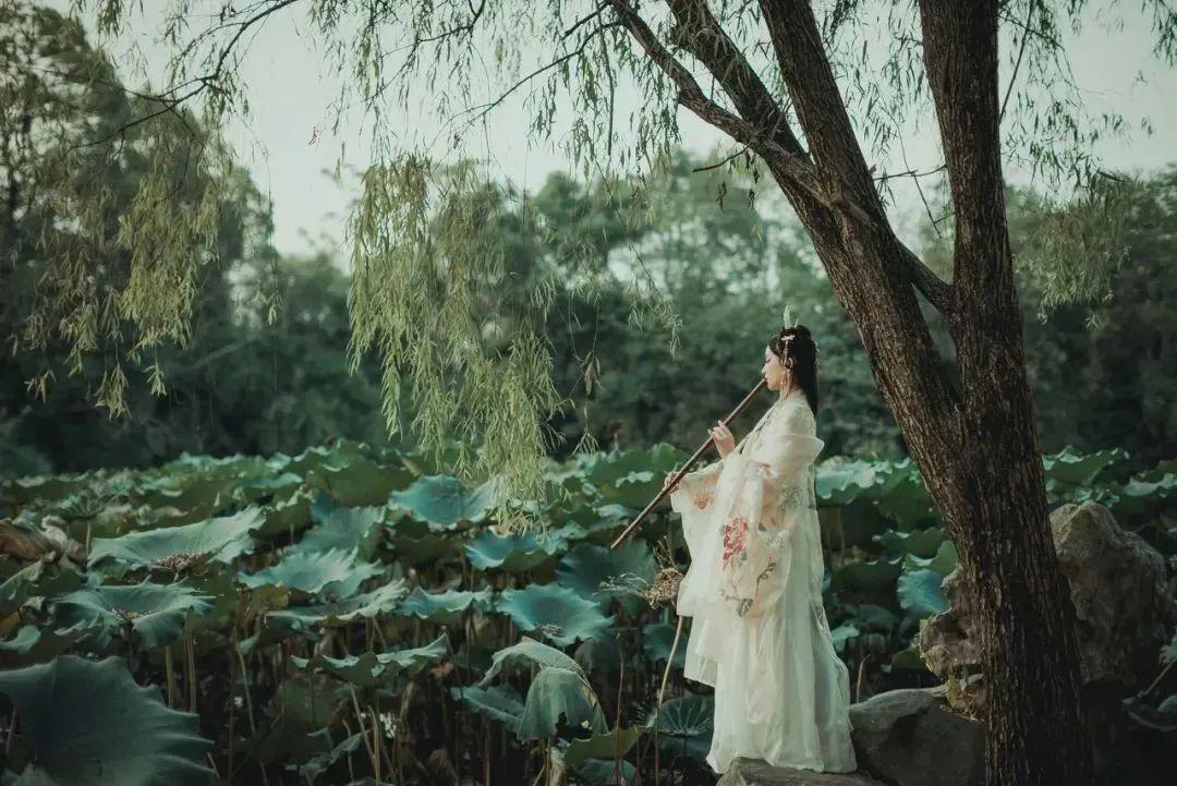 左传全称（《左传》中不可不知的八个典故）