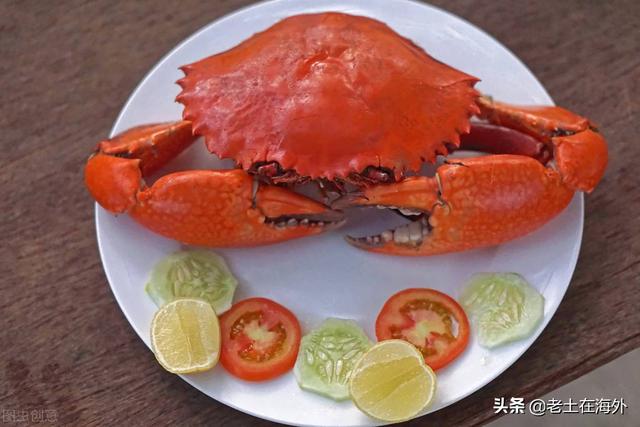 坦桑尼亚首都是哪，坦桑尼亚首都在哪里（坦桑尼亚是一个怎么样的国家）