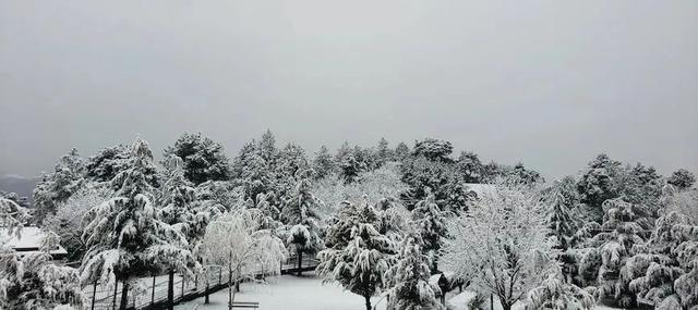 形容下雪的心情经典短句，描写下雪心情的句子（关于下雪时发朋友圈的浪漫句子）