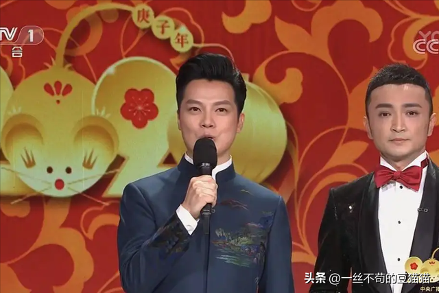 央视主持人年薪，央视主持人月薪（尼格买提曝：我在央视14年）