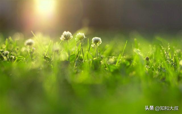 女人简单气质一句话，女人简单气质一句话早安语（一个女人最好的风水：一句话）