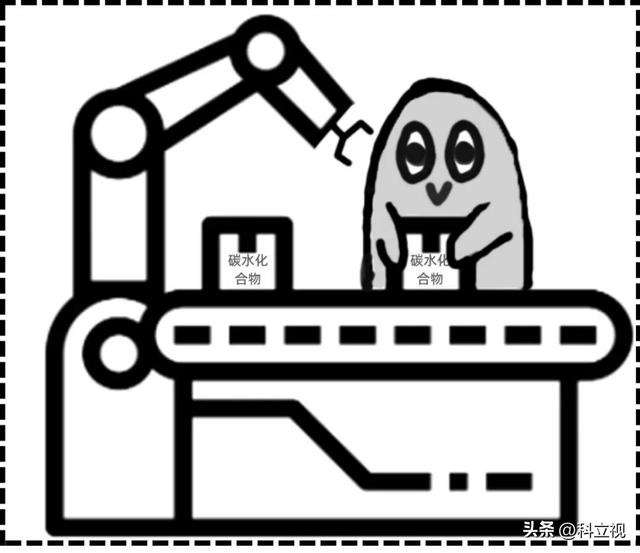 乳酸菌的作用与功效，益生菌和乳酸菌的作用与功效（乳酸菌的好处居然那么多）