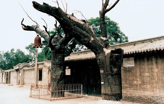 冉庄地道战纪念馆，走进冉庄地道战遗址（如今50多年过去了仍然矗立在冉庄）