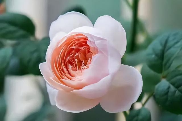 老公不回家怎么解决，丈夫天天不回家怎么办（你别去接她”男人：爸）