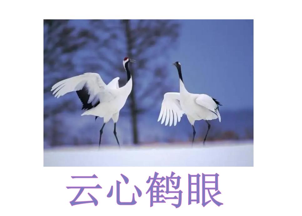 哑然失笑的意思，哑然失笑的意思是什么（四种声调全有的成语）