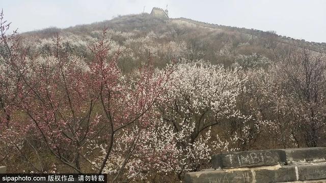 北京可参观的影视基地，开启春日京城“电影之旅”