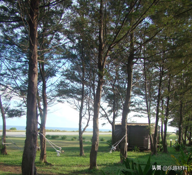 南沙群岛最大的自然岛屿是什么岛，南沙群岛最大的自然岛面积为0.43平方公里,其名字（中国只用一年将其扩大为36倍）