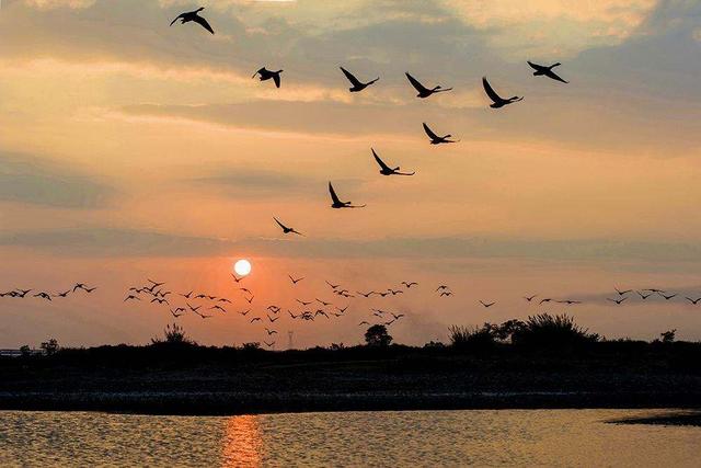 描写风的诗句有哪些，描写风的诗句有哪些一年级（最著名的8首“风之诗”排行榜）