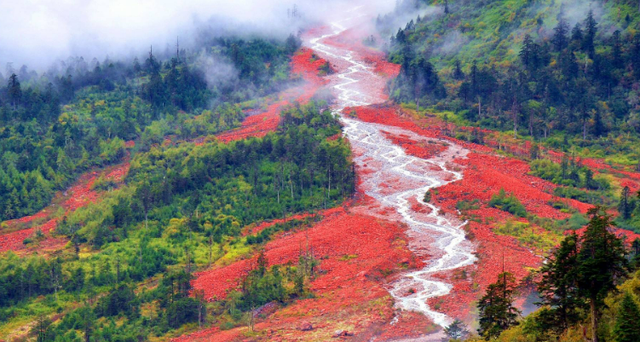 四川旅游景点推荐，四川旅游景点推荐表（四川最美二十个景区推荐）