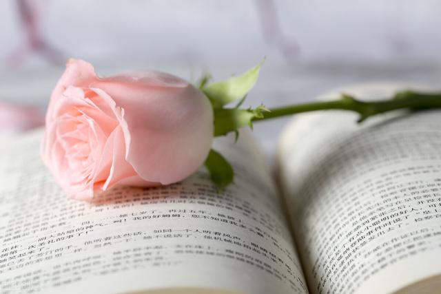 心里牵挂一个人的网名，2022最伤心难过网名（有一种深爱）