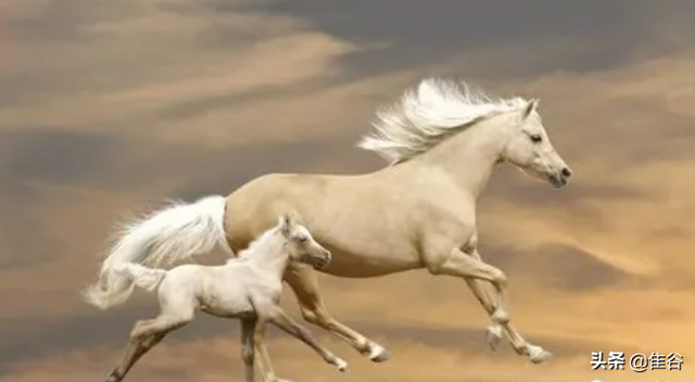 无殊是什么意思，宫腔无殊是什么意思（这些成语知道三个就不简单）