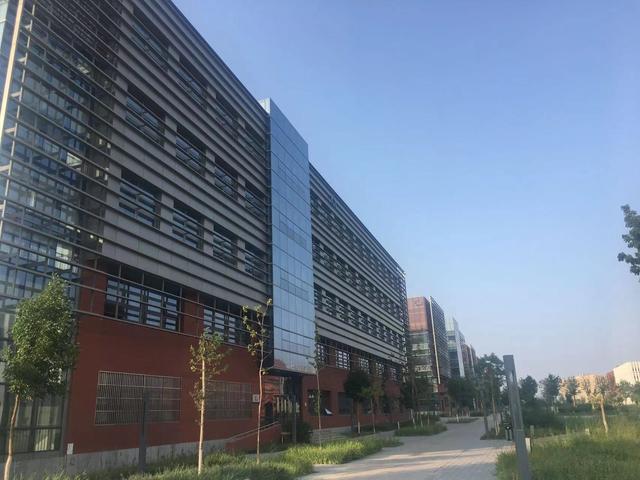 新疆高考政策，2025年新疆高考政策（2021年新疆高考招生计划深度分析）