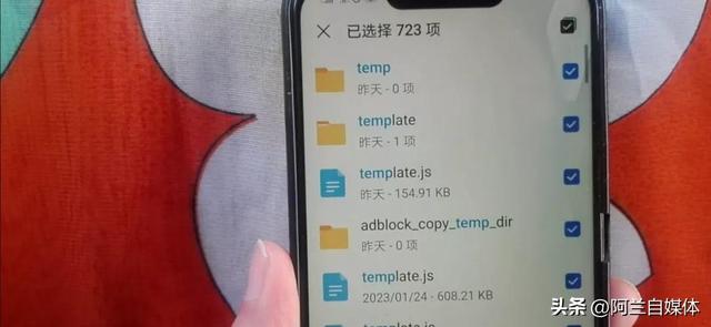 如何清除文件中的数据，如何清除文件中的数据格式（打开4个代码关闭这个开关）