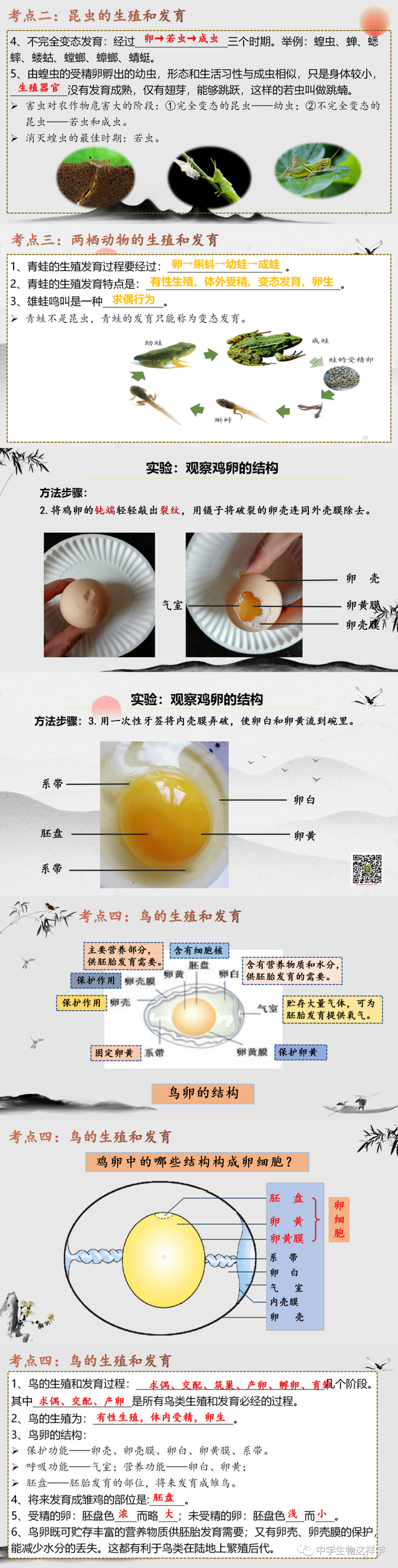 什么是无性生殖，什么叫做无性生殖（中考生物一轮复习）