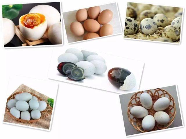 吃鹅蛋能预防新生儿黄疸吗，为啥孕妇不建议吃鹅蛋（鸡蛋、鸭蛋、鹅蛋与鹌鹑蛋）
