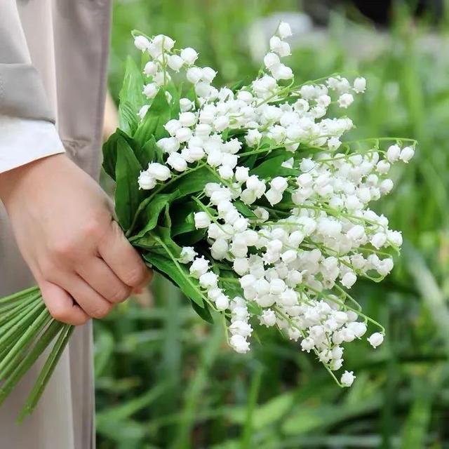 风铃草和铃兰花的区别有哪些，风铃草和风铃花的区别（是一种娇小可爱的观赏花卉）