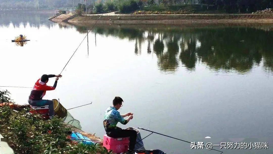 钓鱼成瘾危害家庭幸福，沉迷垂钓致亲情疏离、经济受损，严重者甚至妻离子散。