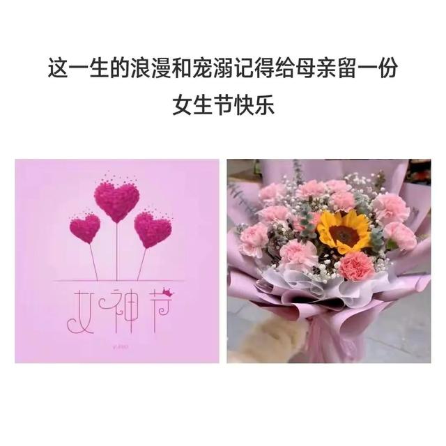 妇女节祝福短信，唯美妇女节祝福话语（三八妇女节祝福高级文案）