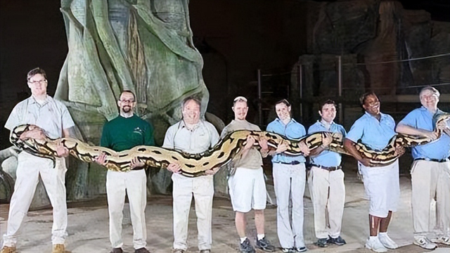 毒性最强的生物，世界抗毒性最强的动物前十（亚马逊八大可怕生物）