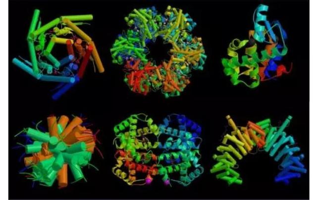 僵尸鹿是真的吗，僵尸鹿是不是真的（扩散非常迅速，会影响人类吗）