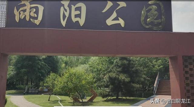 哈尔滨群力湿地公园，群力新区十一大公园