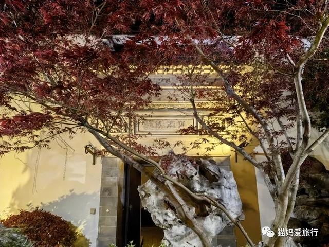苏州山塘街攻略，苏州山塘街美食最强攻略（周末轻松苏州游）