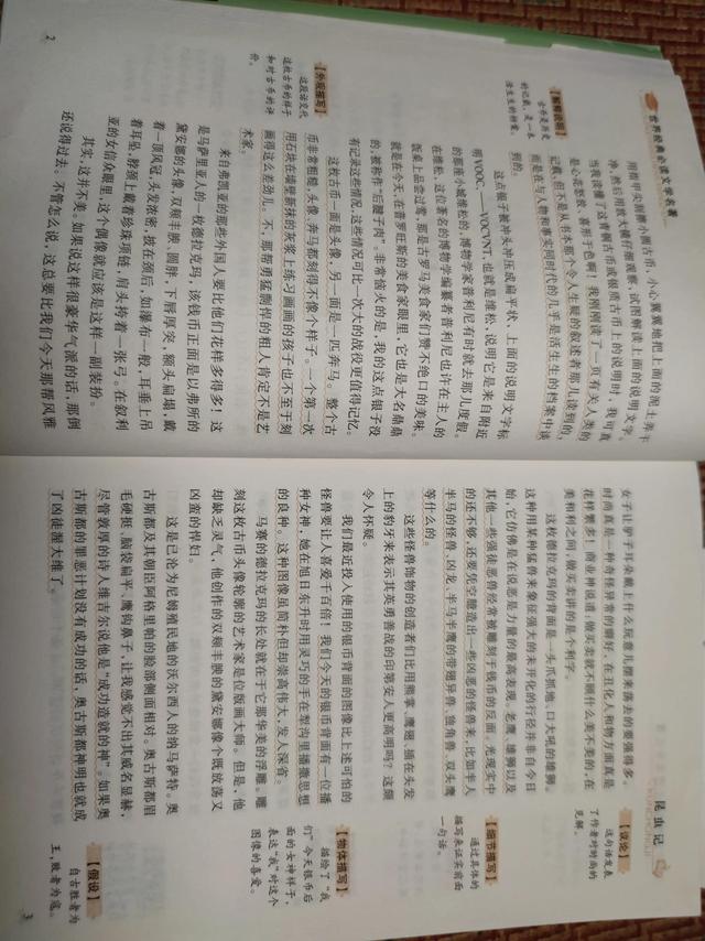 老象虫的外形特点，老象虫外表有何特点（一起读书——《昆虫记》）