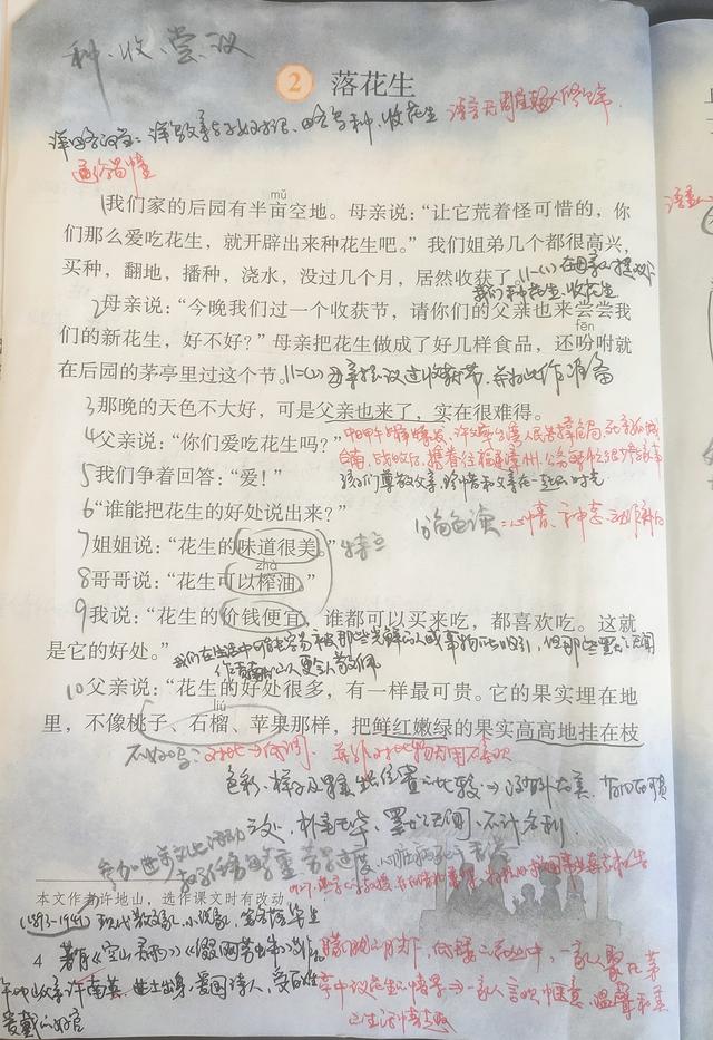 落花生的作者是谁，落花生的写作手法（五年级上册语文《落花生》一课）