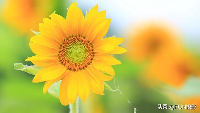 摄影的基本知识和技巧，摄影技巧知识大全（过来人给你分享6个技巧）