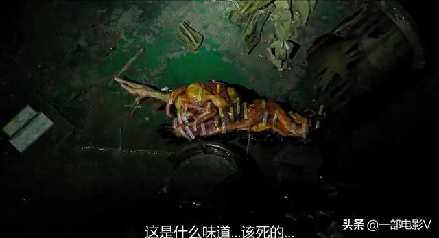 昆池岩402房间怎么了，昆池岩206房间（《昆池岩》中的那些恐怖剧情）
