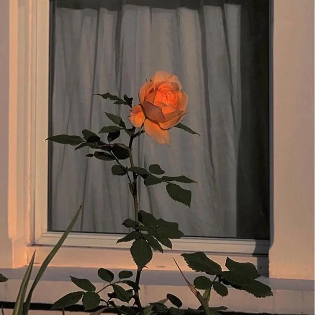 这次再见，是再也不见，这次再见,是再也不见（普普通通却又封神的文案图片）